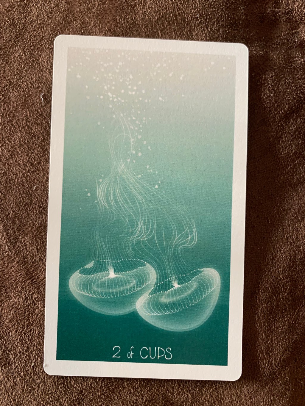 Weekly Reading, November 7,&nbsp;2021