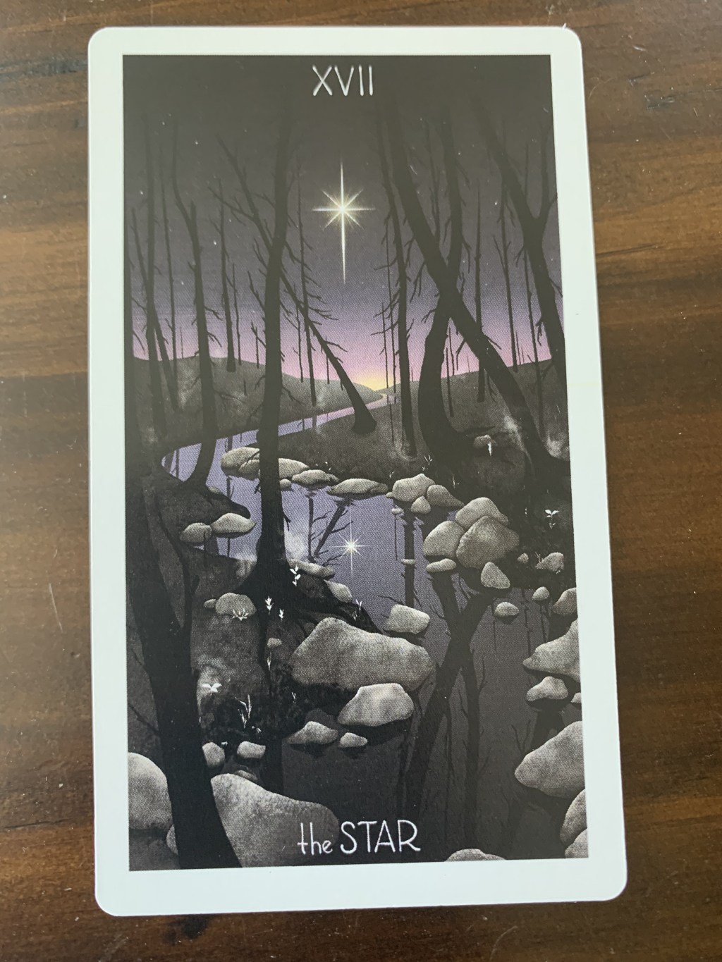 17- The Star
